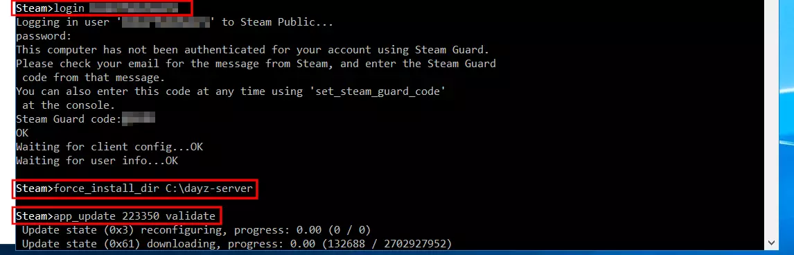 Imagen: SteamCMD: instalación del DayZ server